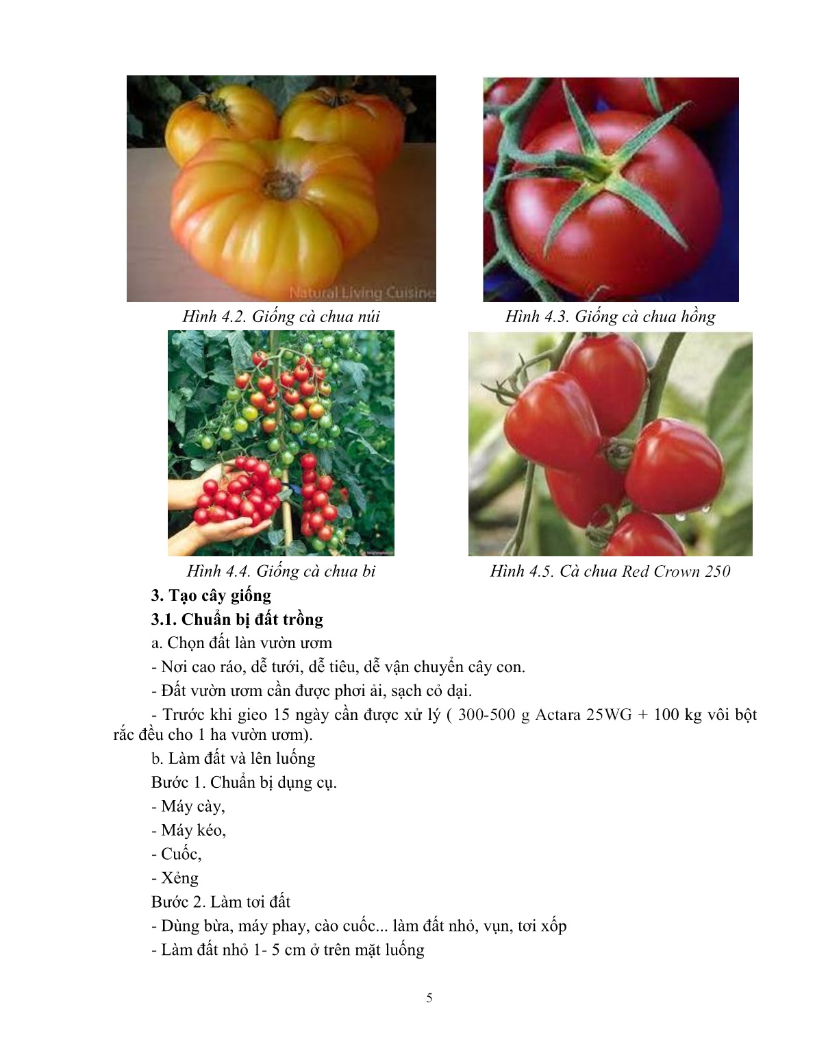 Giáo trình mô đun Trồng rau nhóm ăn quả (Trình độ: Đào tạo dưới 03 tháng) trang 6