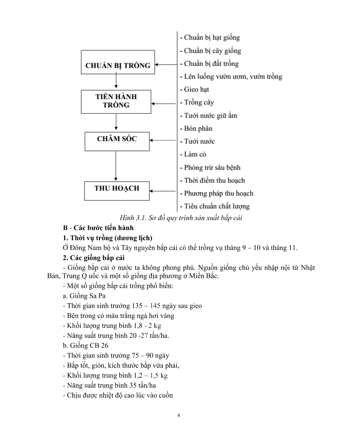 Giáo trình mô đun Trồng rau nhóm ăn lá (Trình độ: Đào tạo dưới 03 tháng) trang 5