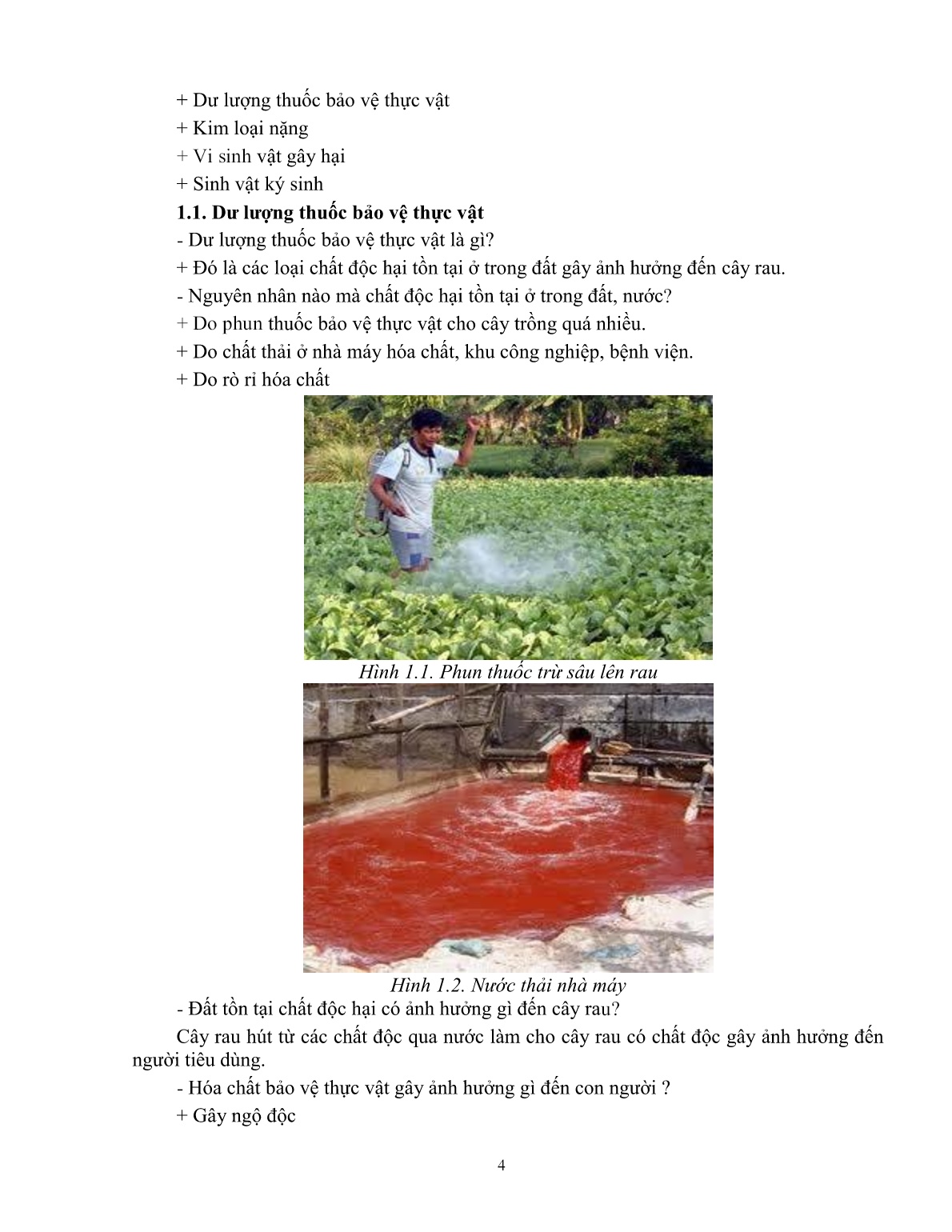 Giáo trình mô đun Hướng dẫn sản xuất rau an toàn theo hướng Vietgap (Trình độ: Đào tạo dưới 03 tháng) trang 5