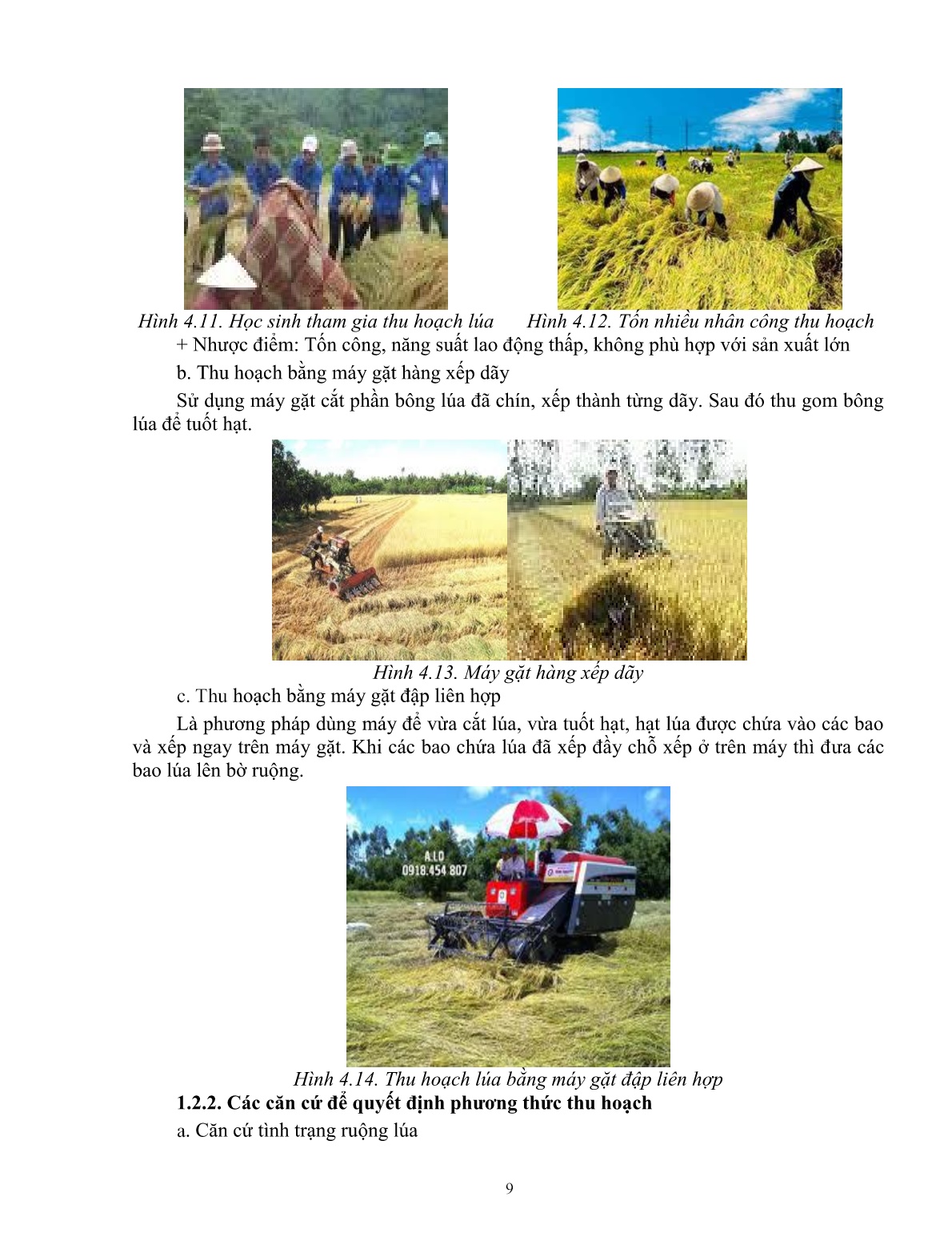 Giáo trình mô đun Thu hoạch, sơ chế và bảo quản lúa (Trình độ: Đào tạo dưới 03 tháng) trang 10