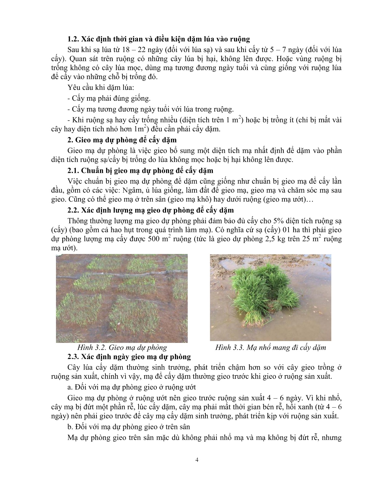Giáo trình mô đun Chăm sóc lúa (Trình độ: Đào tạo dưới 03 tháng) trang 5