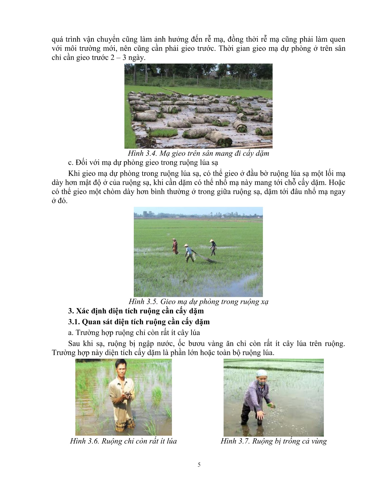 Giáo trình mô đun Chăm sóc lúa (Trình độ: Đào tạo dưới 03 tháng) trang 6