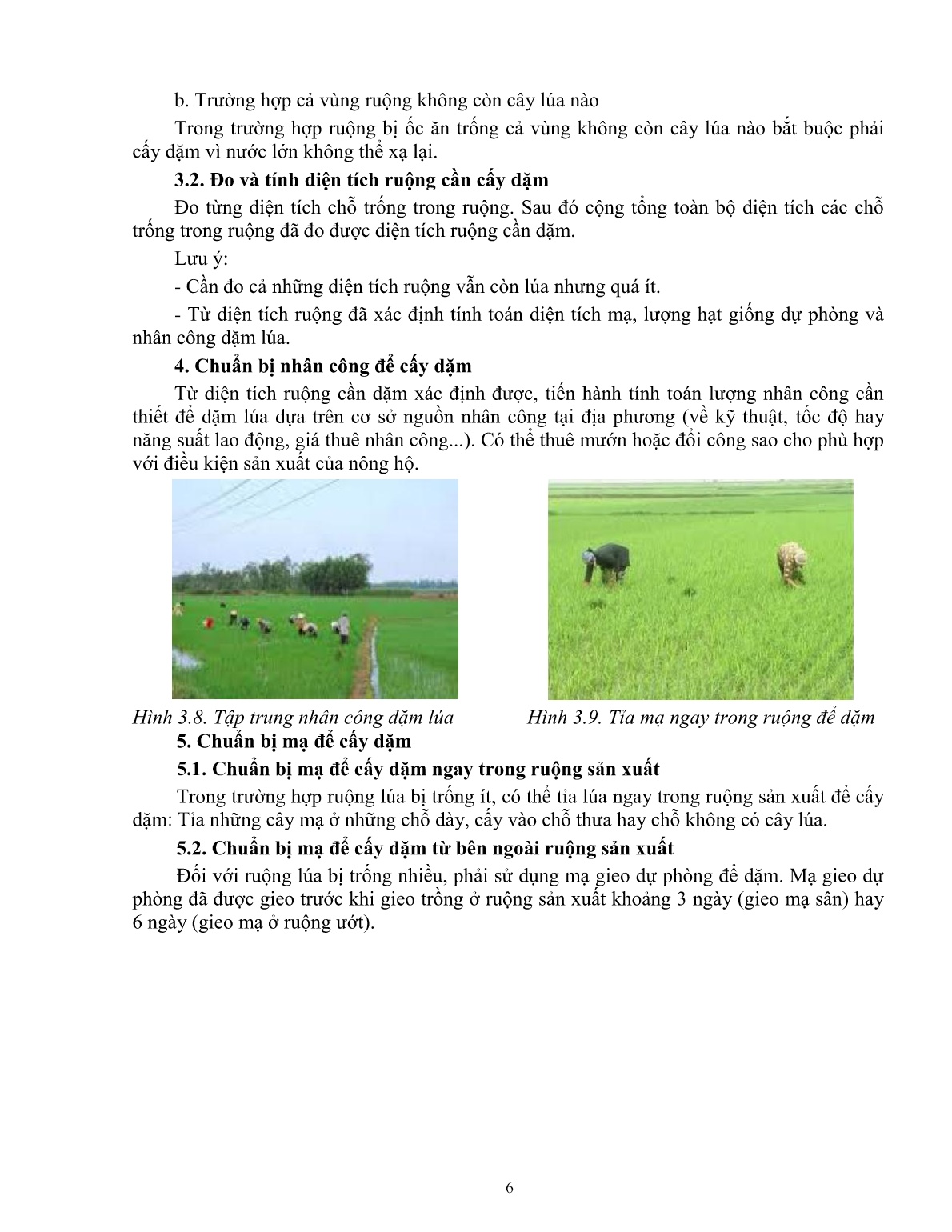 Giáo trình mô đun Chăm sóc lúa (Trình độ: Đào tạo dưới 03 tháng) trang 7