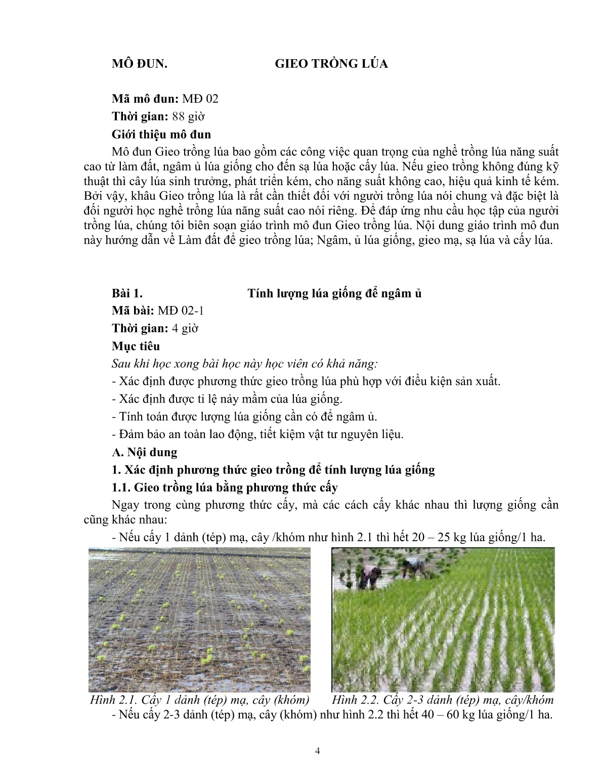 Giáo trình mô đun Gieo trồng lúa (Trình độ: Đào tạo dưới 03 tháng) trang 4