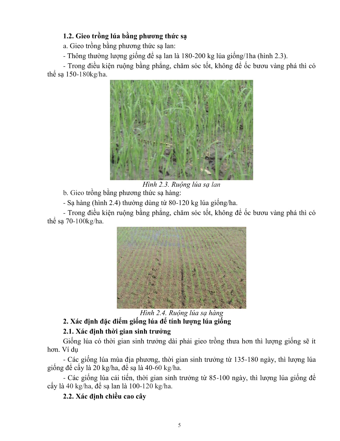 Giáo trình mô đun Gieo trồng lúa (Trình độ: Đào tạo dưới 03 tháng) trang 5