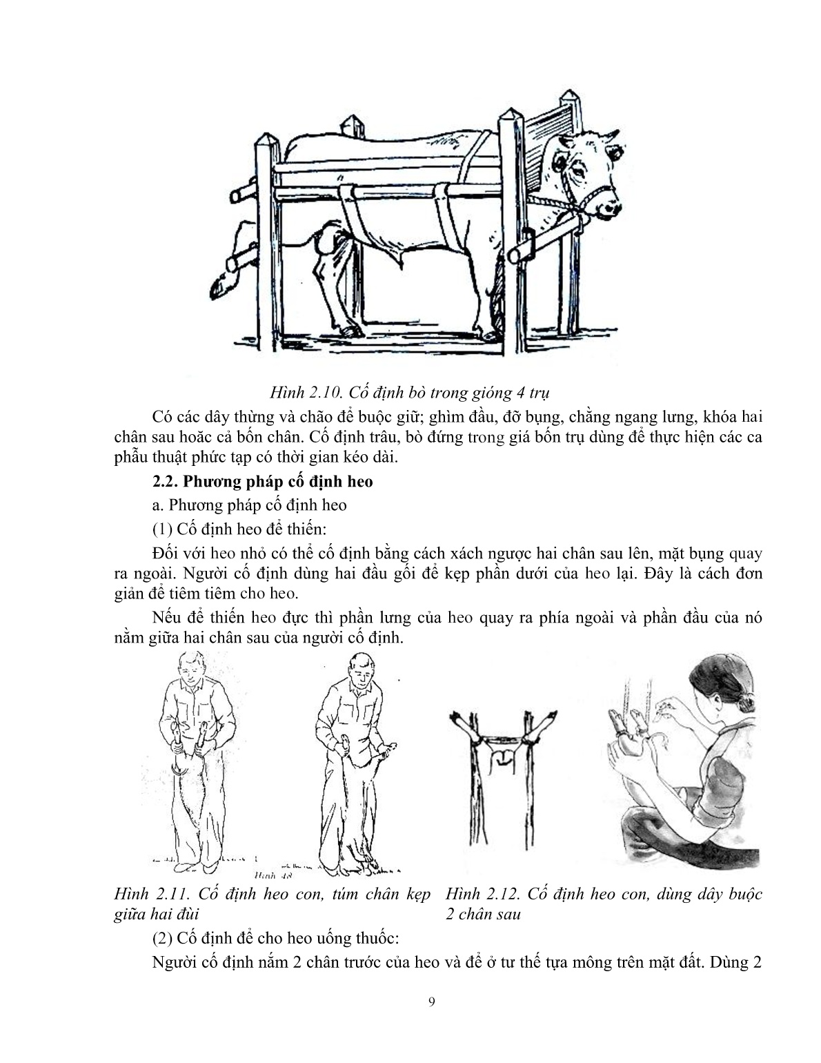 Giáo trình Một số kiến thức cơ bản thực hành sử dụng thuốc thú y trong chăn nuôi (Trình độ: Đào tạo dưới 3 tháng) trang 10