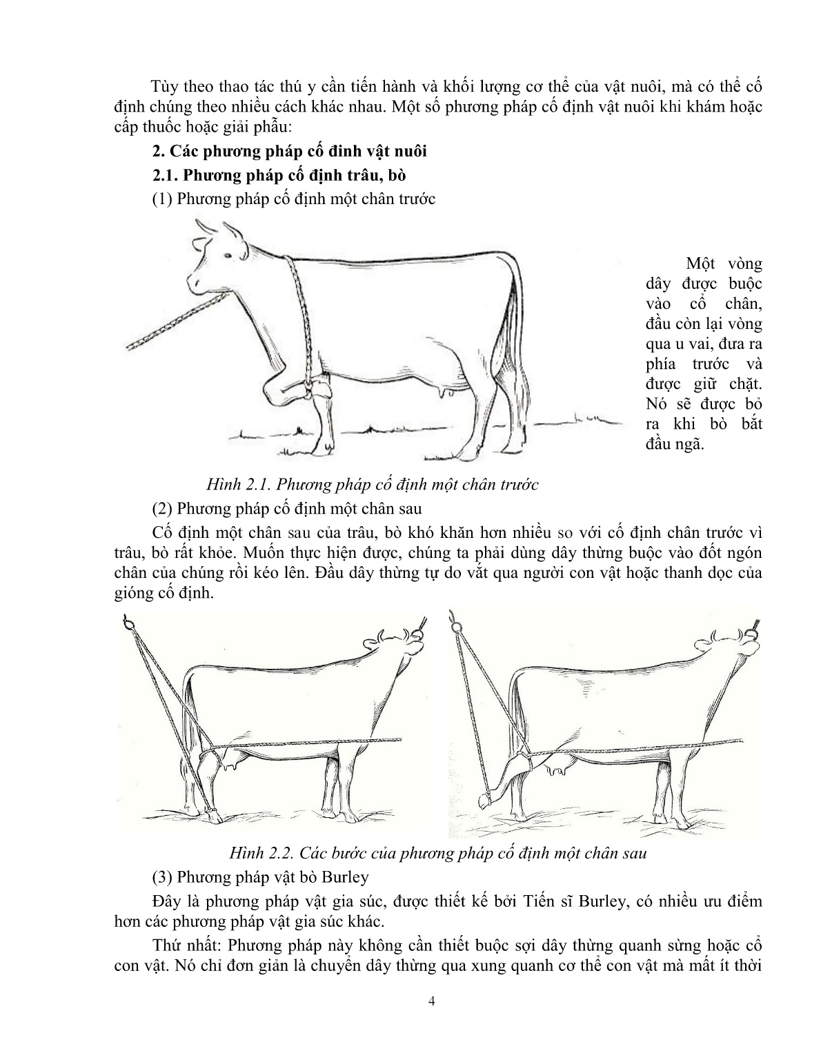 Giáo trình Một số kiến thức cơ bản thực hành sử dụng thuốc thú y trong chăn nuôi (Trình độ: Đào tạo dưới 3 tháng) trang 5