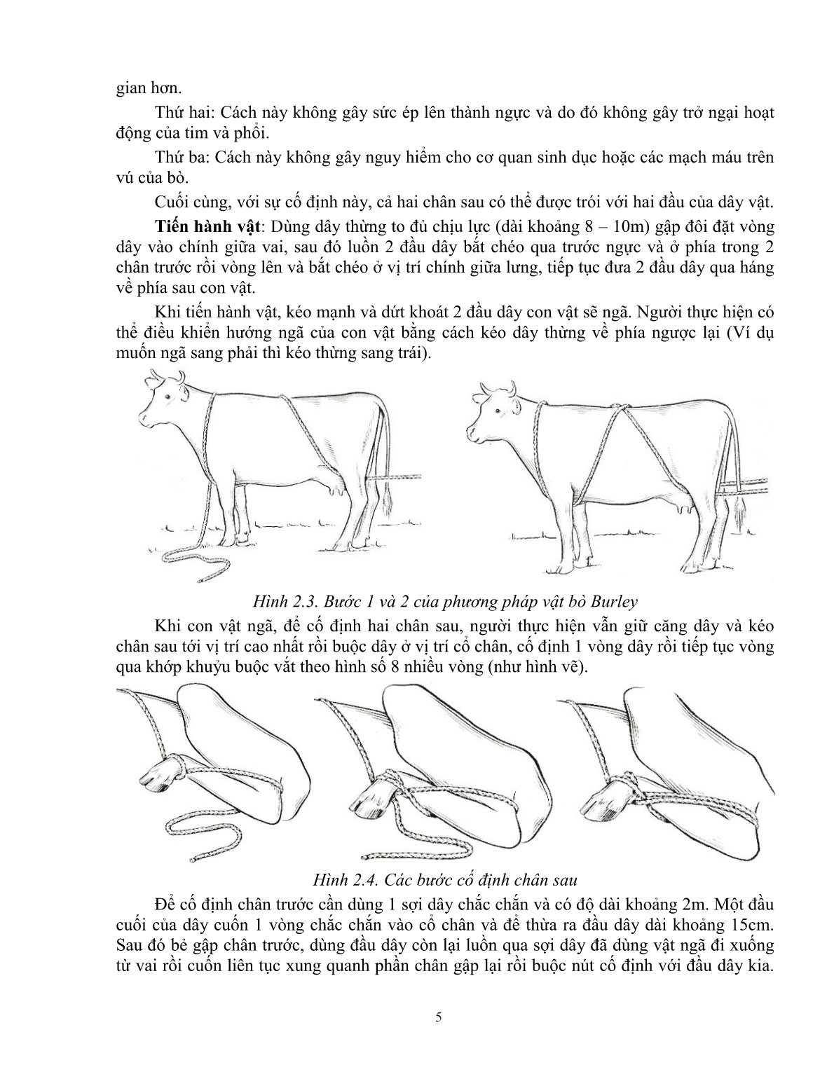 Giáo trình Một số kiến thức cơ bản thực hành sử dụng thuốc thú y trong chăn nuôi (Trình độ: Đào tạo dưới 3 tháng) trang 6