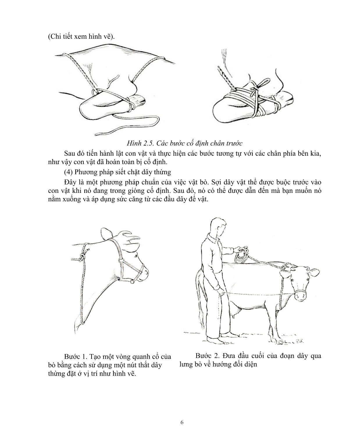 Giáo trình Một số kiến thức cơ bản thực hành sử dụng thuốc thú y trong chăn nuôi (Trình độ: Đào tạo dưới 3 tháng) trang 7