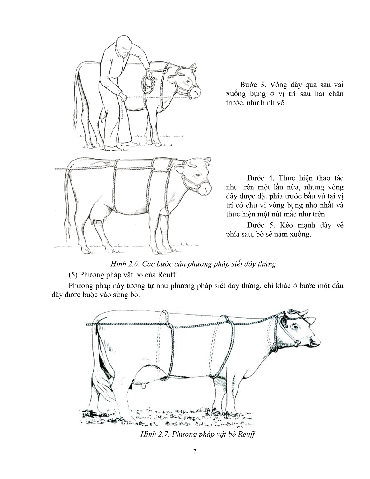 Giáo trình Một số kiến thức cơ bản thực hành sử dụng thuốc thú y trong chăn nuôi (Trình độ: Đào tạo dưới 3 tháng) trang 8