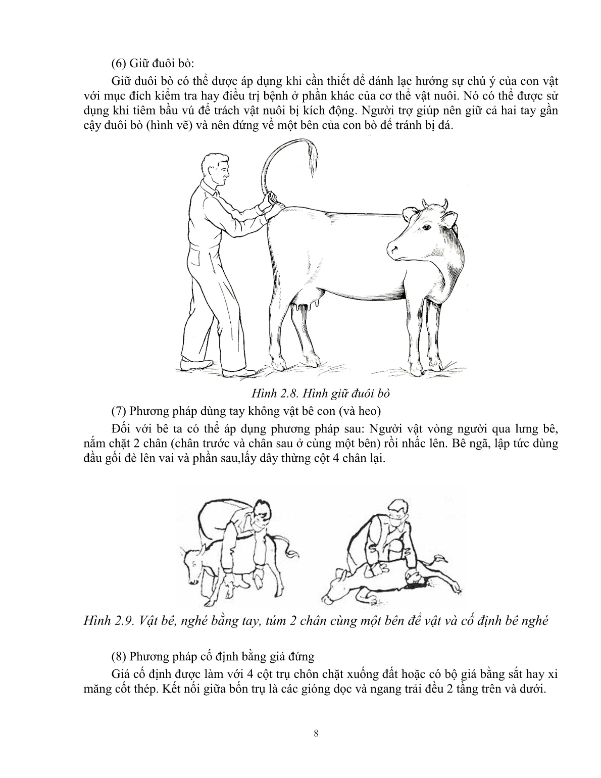 Giáo trình Một số kiến thức cơ bản thực hành sử dụng thuốc thú y trong chăn nuôi (Trình độ: Đào tạo dưới 3 tháng) trang 9