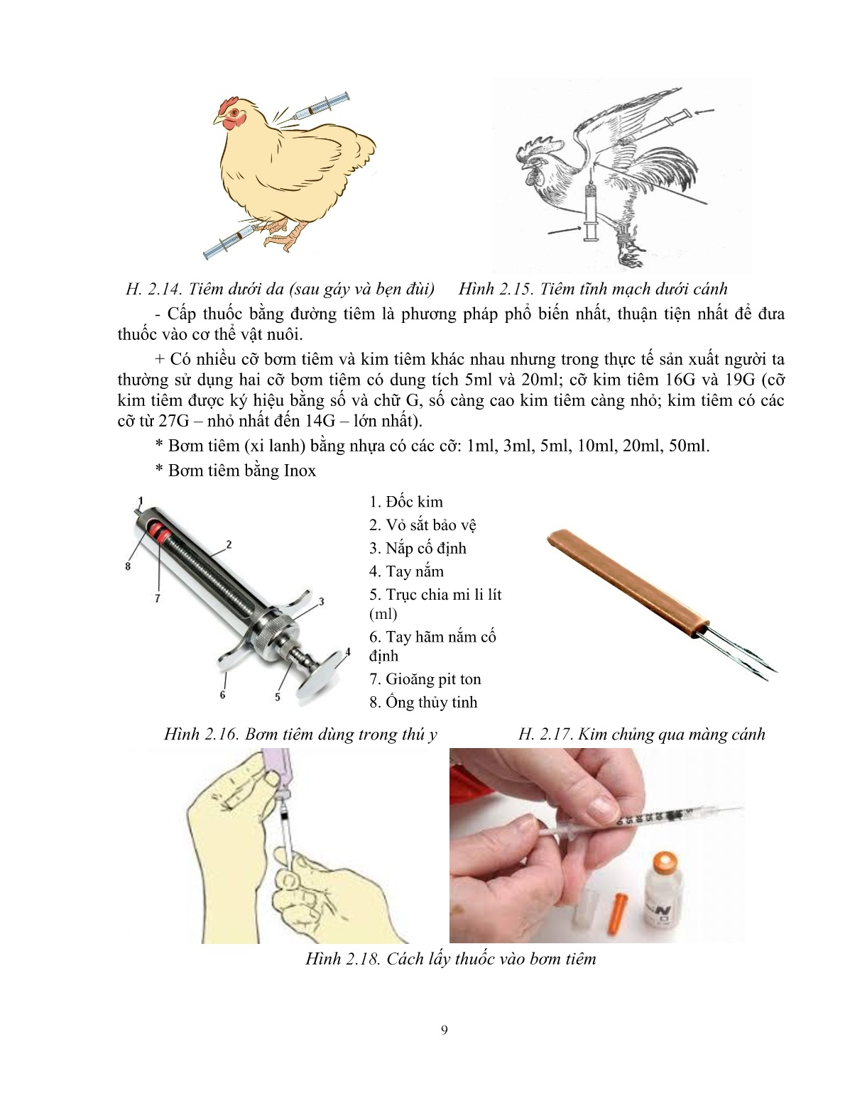 Giáo trình mô đun Phòng và trị bệnh cho gà (Trình độ: Đào tạo dưới 3 tháng) trang 10