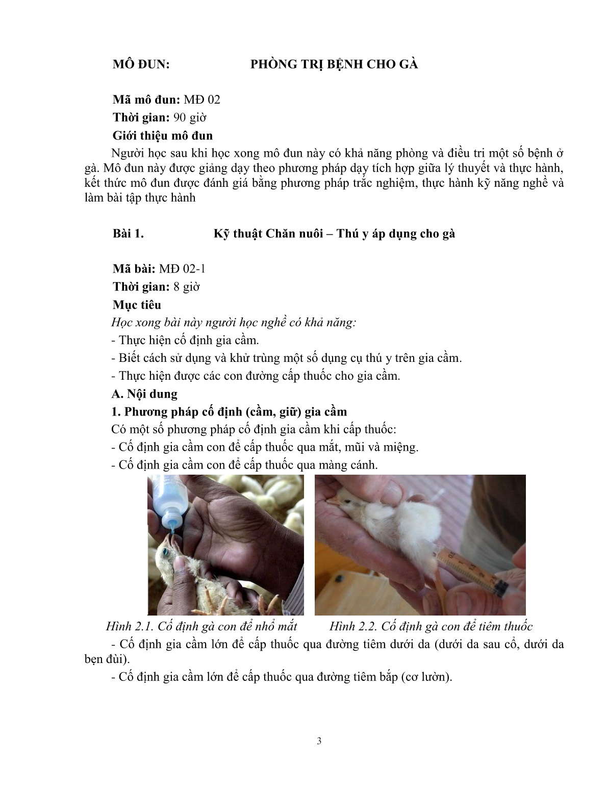 Giáo trình mô đun Phòng và trị bệnh cho gà (Trình độ: Đào tạo dưới 3 tháng) trang 4