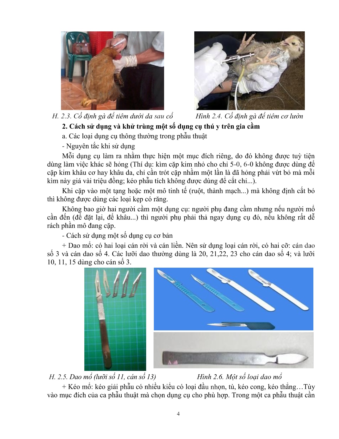Giáo trình mô đun Phòng và trị bệnh cho gà (Trình độ: Đào tạo dưới 3 tháng) trang 5