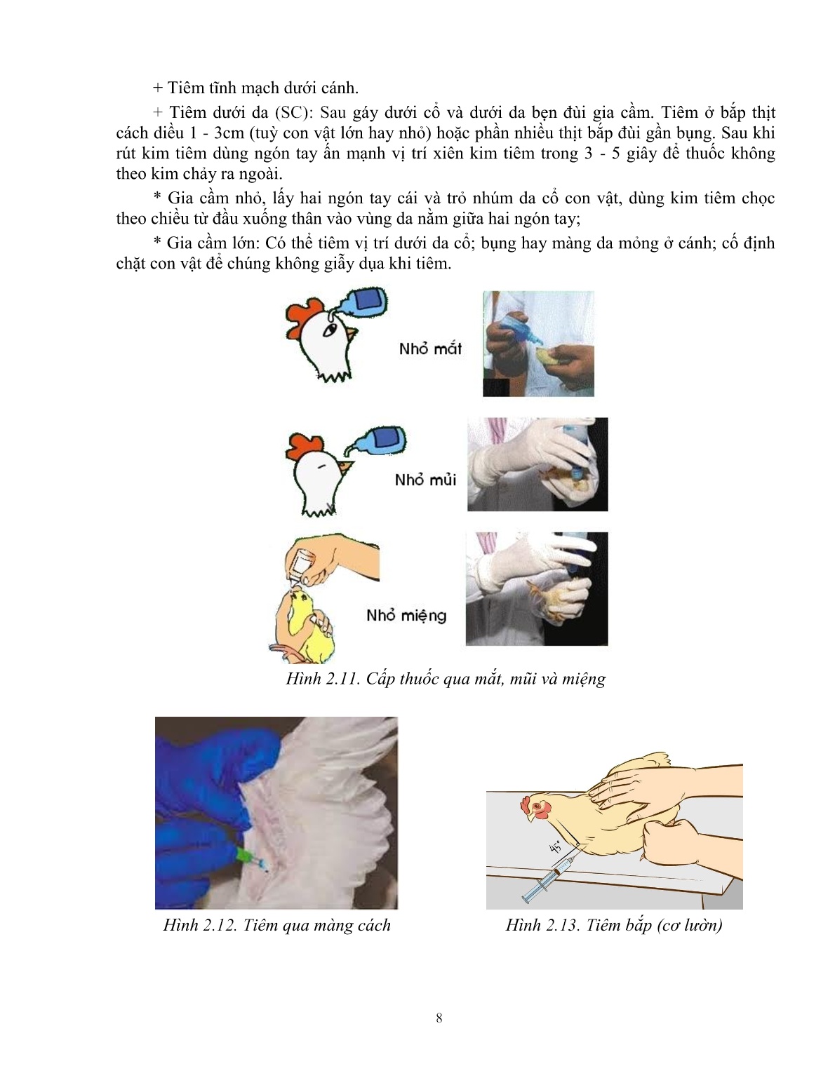 Giáo trình mô đun Phòng và trị bệnh cho gà (Trình độ: Đào tạo dưới 3 tháng) trang 9