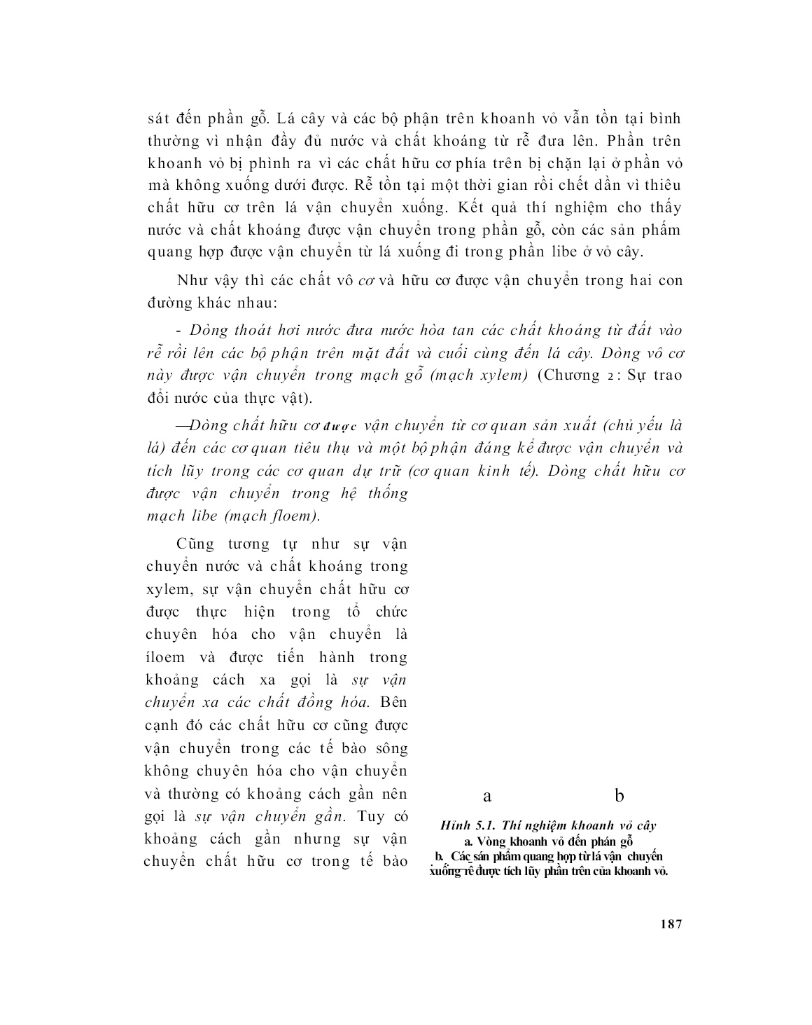 Giáo trình Sinh lí thực vật (Phần 2) trang 2