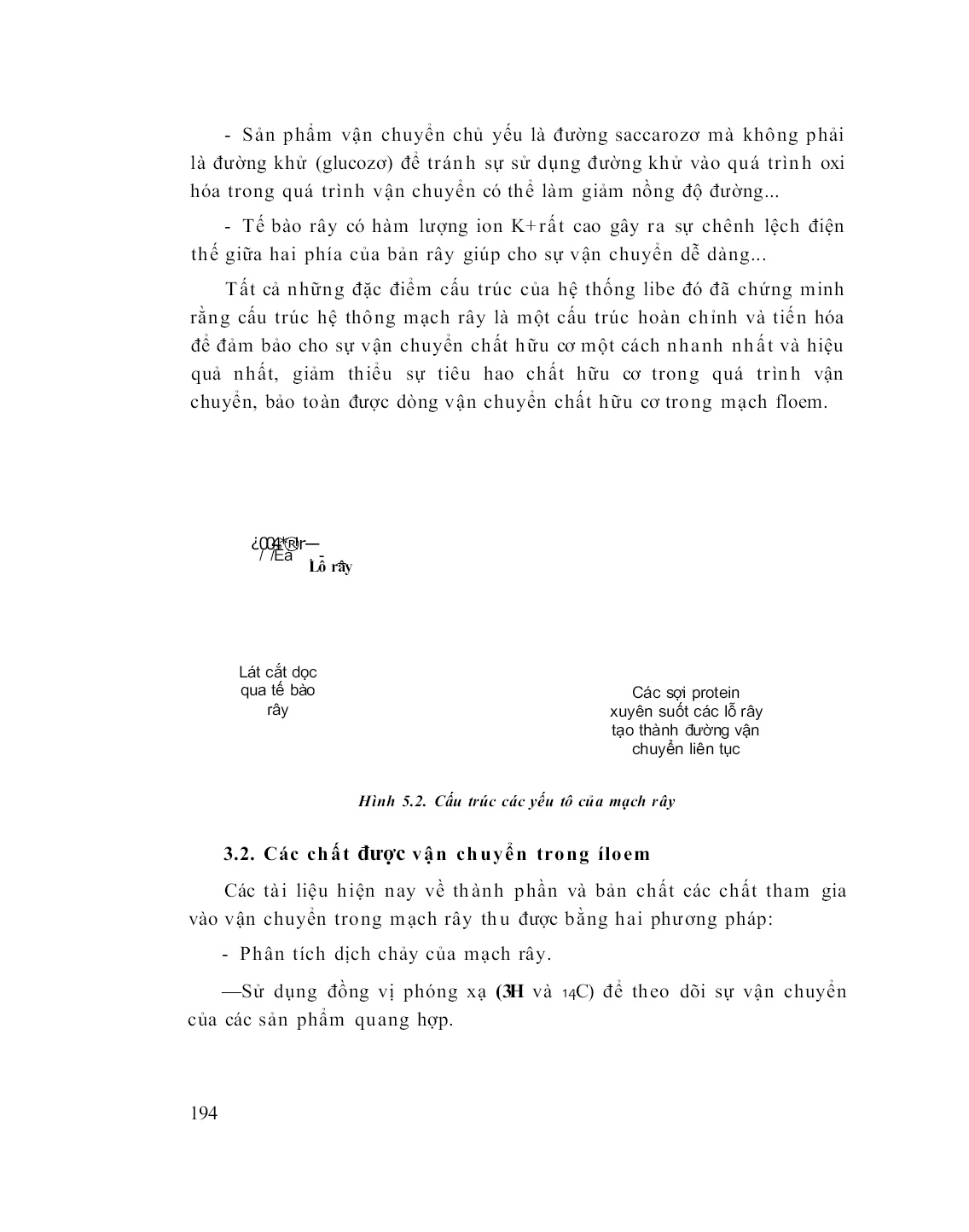 Giáo trình Sinh lí thực vật (Phần 2) trang 9