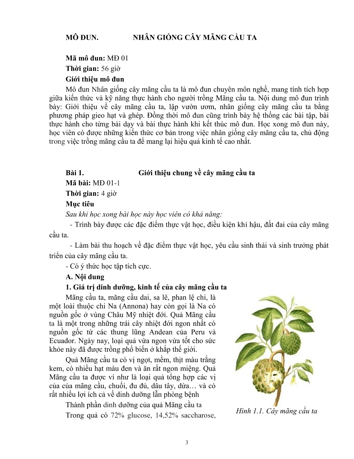 Giáo trình mô đun Nhân giống cây mãng cầu ta (Trình độ: Đào tạo dưới 3 tháng) trang 4