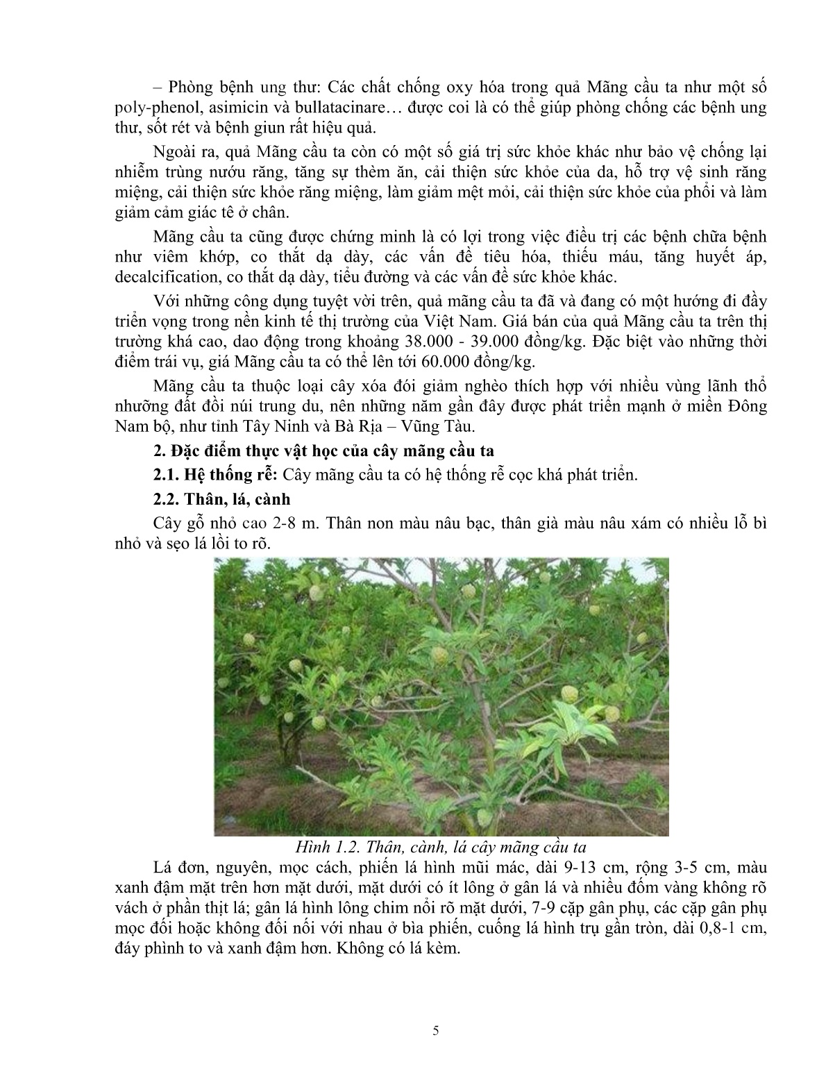 Giáo trình mô đun Nhân giống cây mãng cầu ta (Trình độ: Đào tạo dưới 3 tháng) trang 6