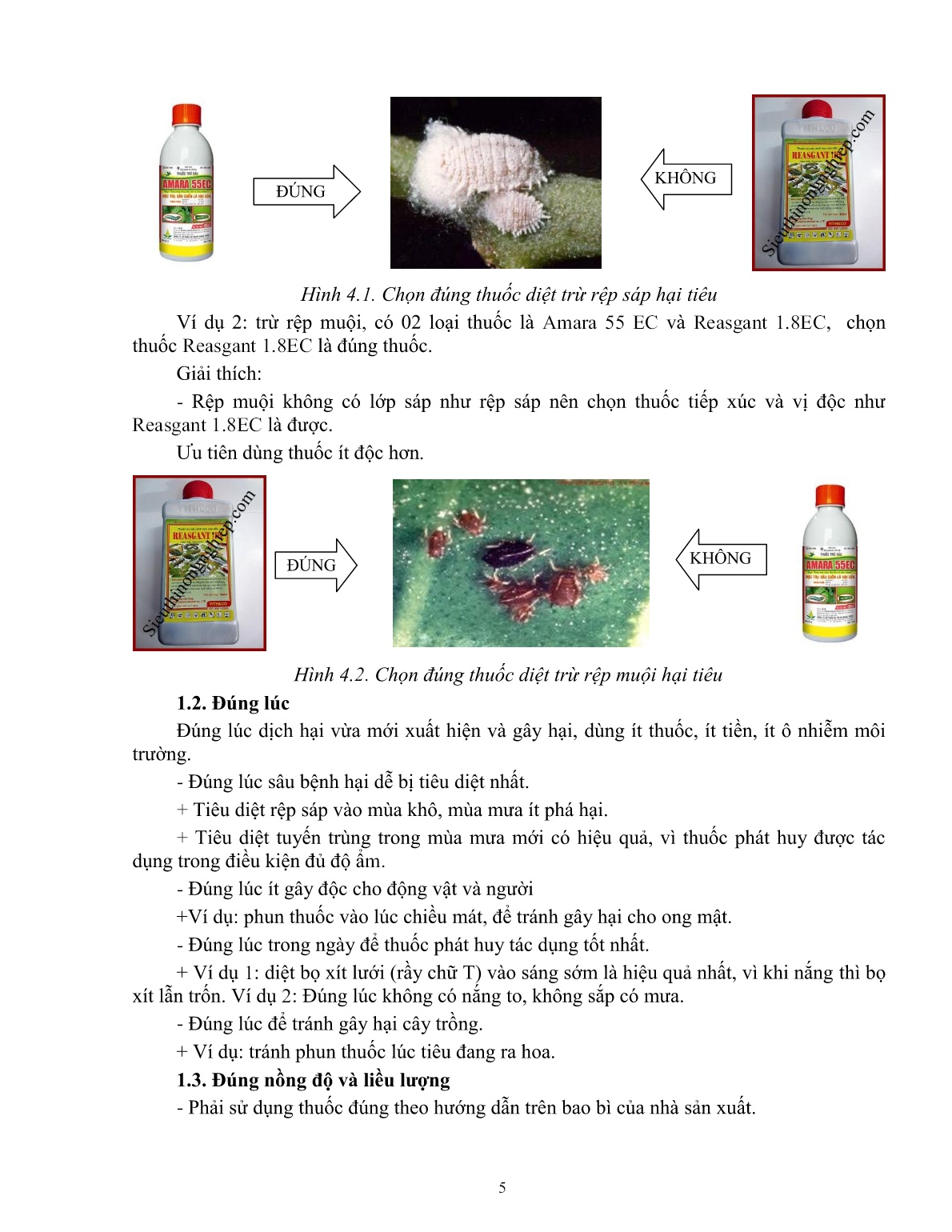 Giáo trình mô đun Bảo vệ thực vật trên cây tiêu (Trình độ: Đào tạo dưới 3 tháng) trang 5