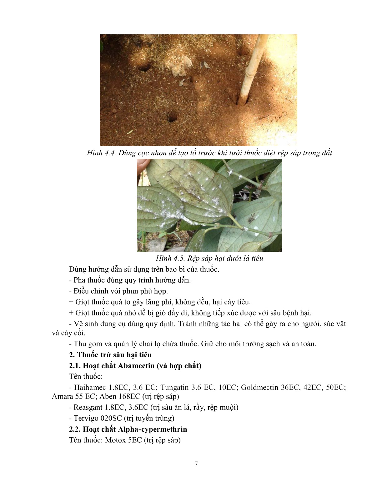 Giáo trình mô đun Bảo vệ thực vật trên cây tiêu (Trình độ: Đào tạo dưới 3 tháng) trang 7