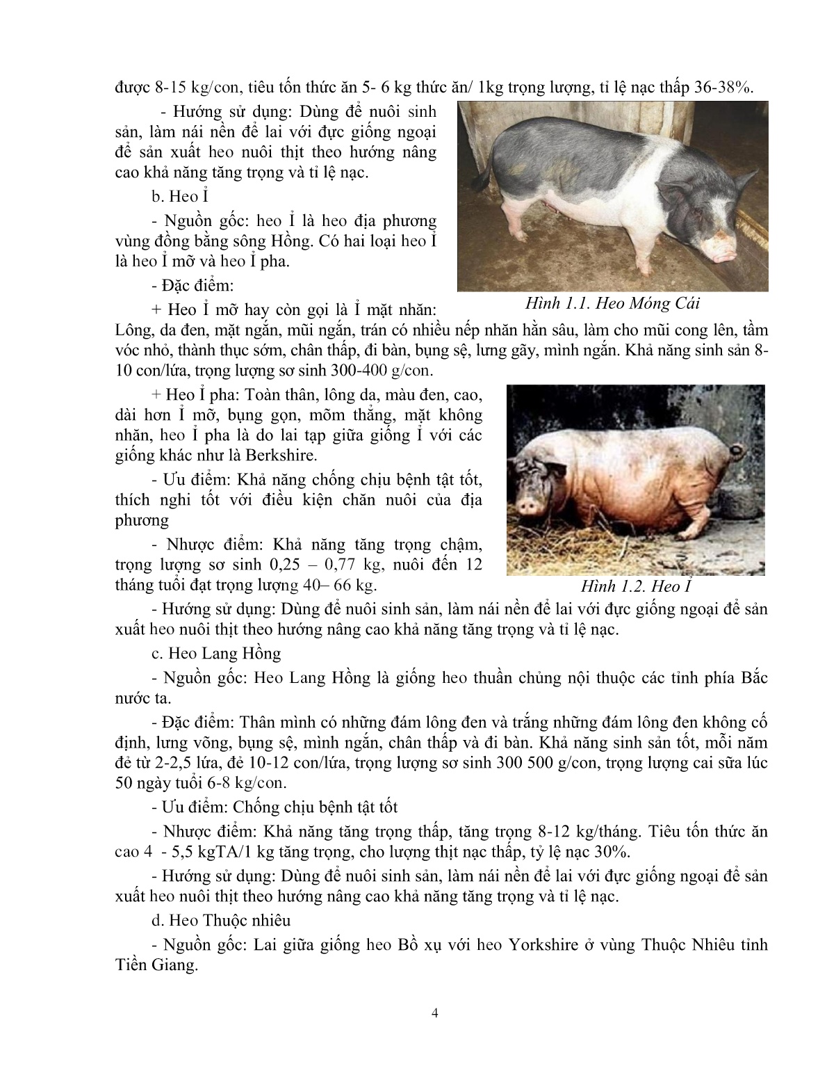 Giáo trình mô đun Chăn nuôi heo thịt (Trình độ: Đào tạo dưới 3 tháng) trang 5