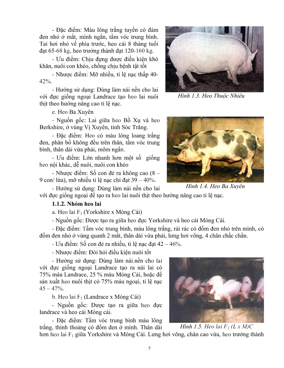 Giáo trình mô đun Chăn nuôi heo thịt (Trình độ: Đào tạo dưới 3 tháng) trang 6