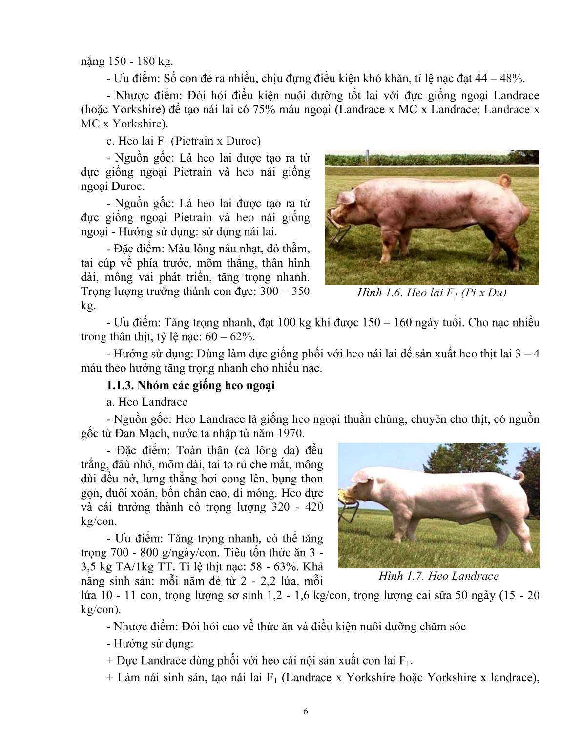 Giáo trình mô đun Chăn nuôi heo thịt (Trình độ: Đào tạo dưới 3 tháng) trang 7