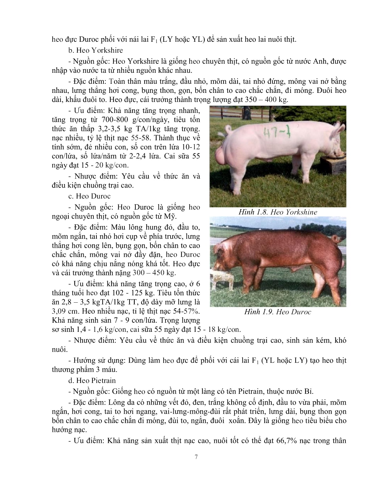 Giáo trình mô đun Chăn nuôi heo thịt (Trình độ: Đào tạo dưới 3 tháng) trang 8