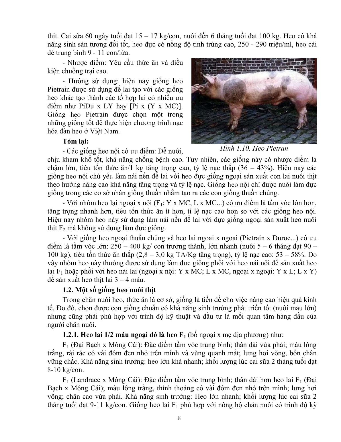 Giáo trình mô đun Chăn nuôi heo thịt (Trình độ: Đào tạo dưới 3 tháng) trang 9