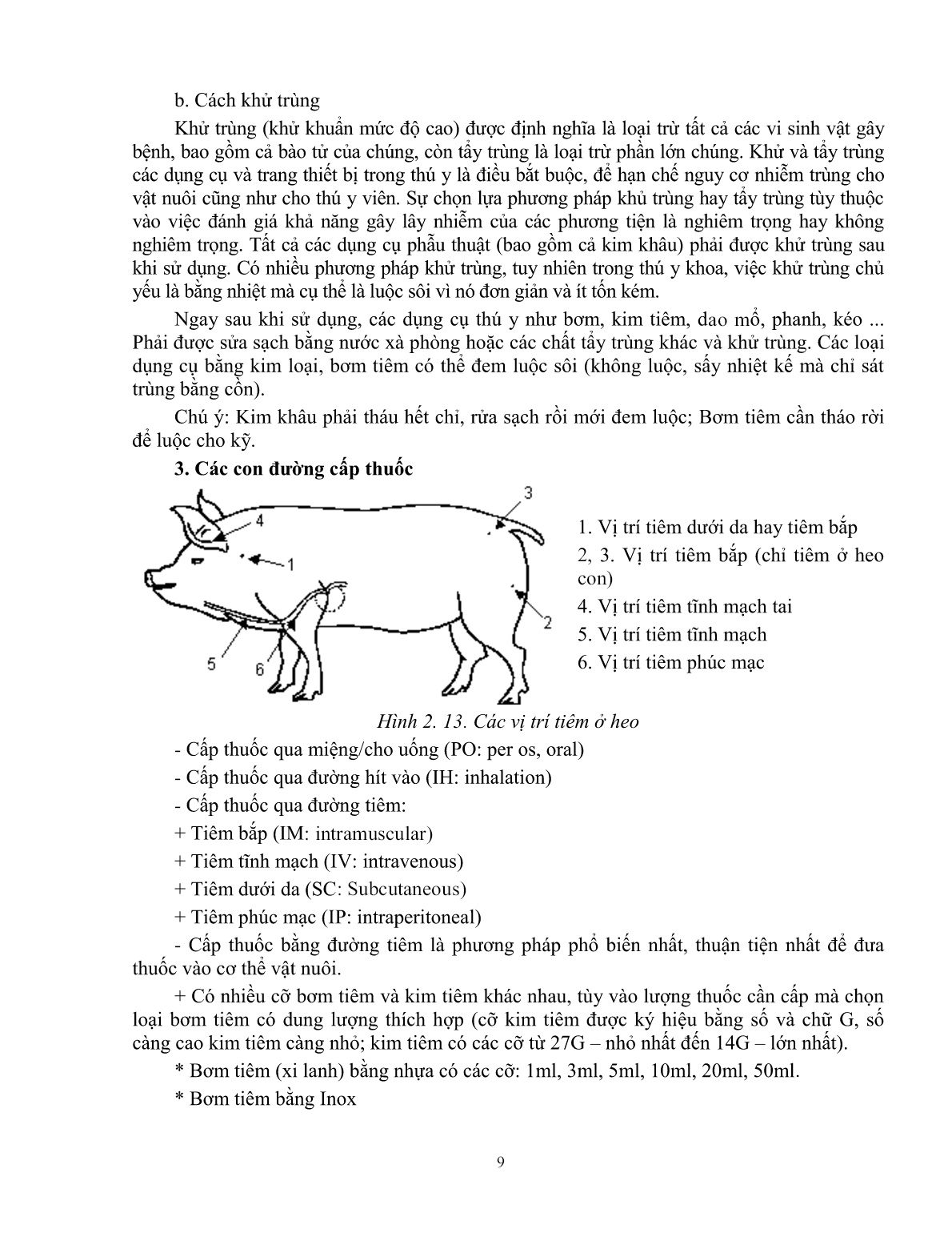 Giáo trình Một số kiến thức cơ bản thực hành chăn nuôi – thú y áp dụng cho heo (Trình độ: Đào tạo dưới 3 tháng) trang 10