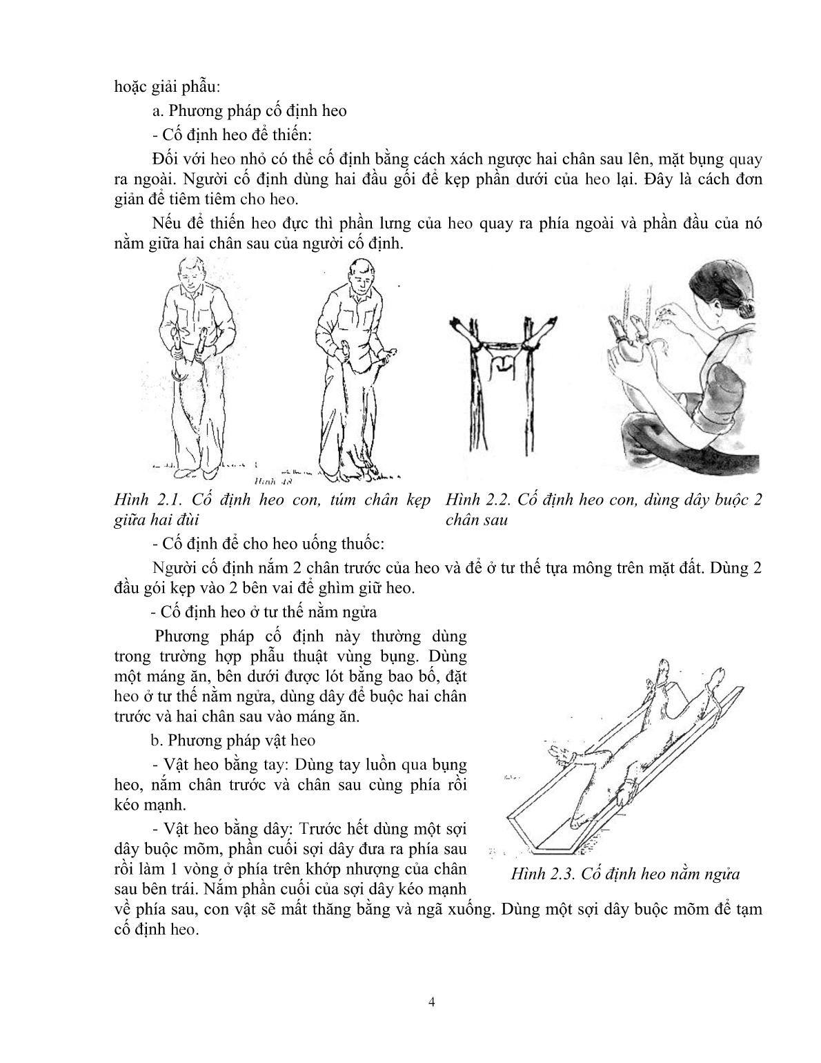 Giáo trình Một số kiến thức cơ bản thực hành chăn nuôi – thú y áp dụng cho heo (Trình độ: Đào tạo dưới 3 tháng) trang 5