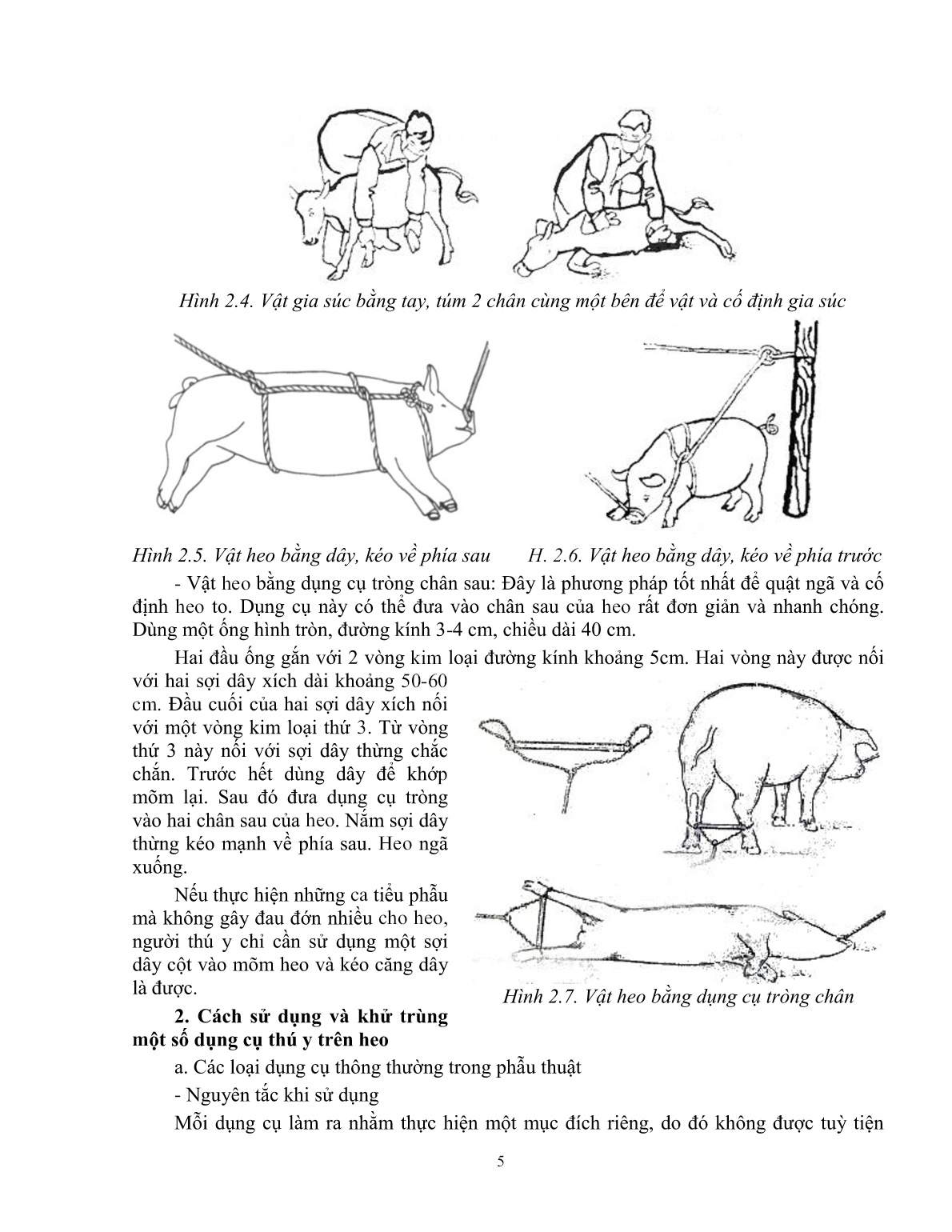 Giáo trình Một số kiến thức cơ bản thực hành chăn nuôi – thú y áp dụng cho heo (Trình độ: Đào tạo dưới 3 tháng) trang 6