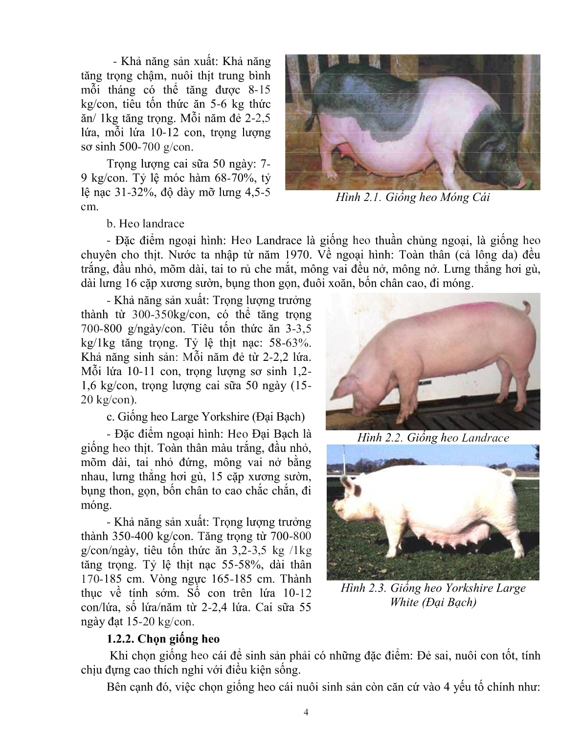 Giáo trình mô đun Chăn nuôi heo nái (Trình độ: Đào tạo dưới 3 tháng) trang 5