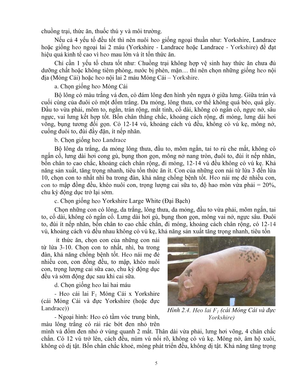 Giáo trình mô đun Chăn nuôi heo nái (Trình độ: Đào tạo dưới 3 tháng) trang 6