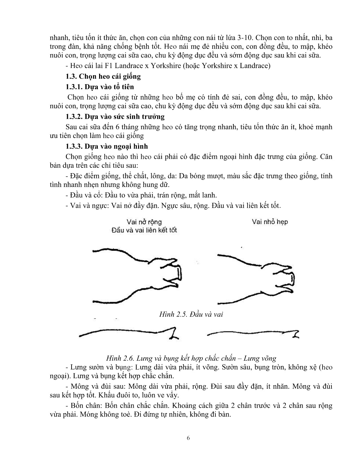 Giáo trình mô đun Chăn nuôi heo nái (Trình độ: Đào tạo dưới 3 tháng) trang 7