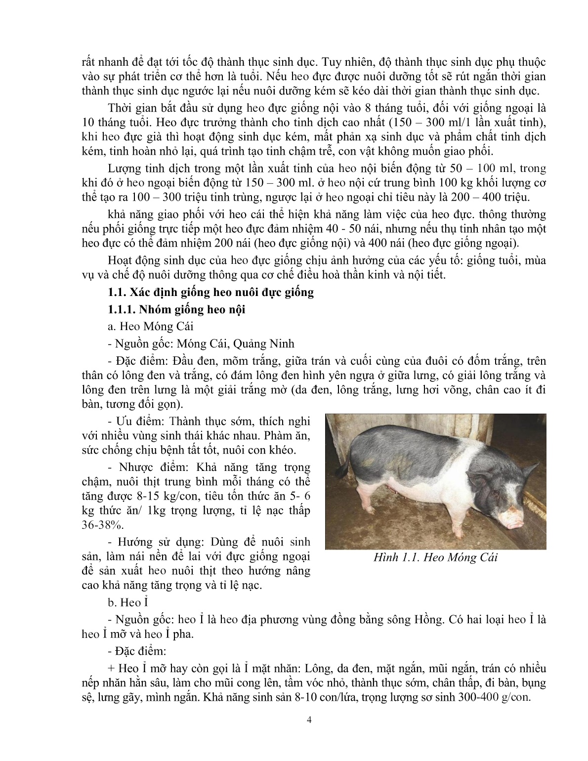 Giáo trình mô đun Chăn nuôi heo đực giống (Trình độ: Đào tạo dưới 3 tháng) trang 5