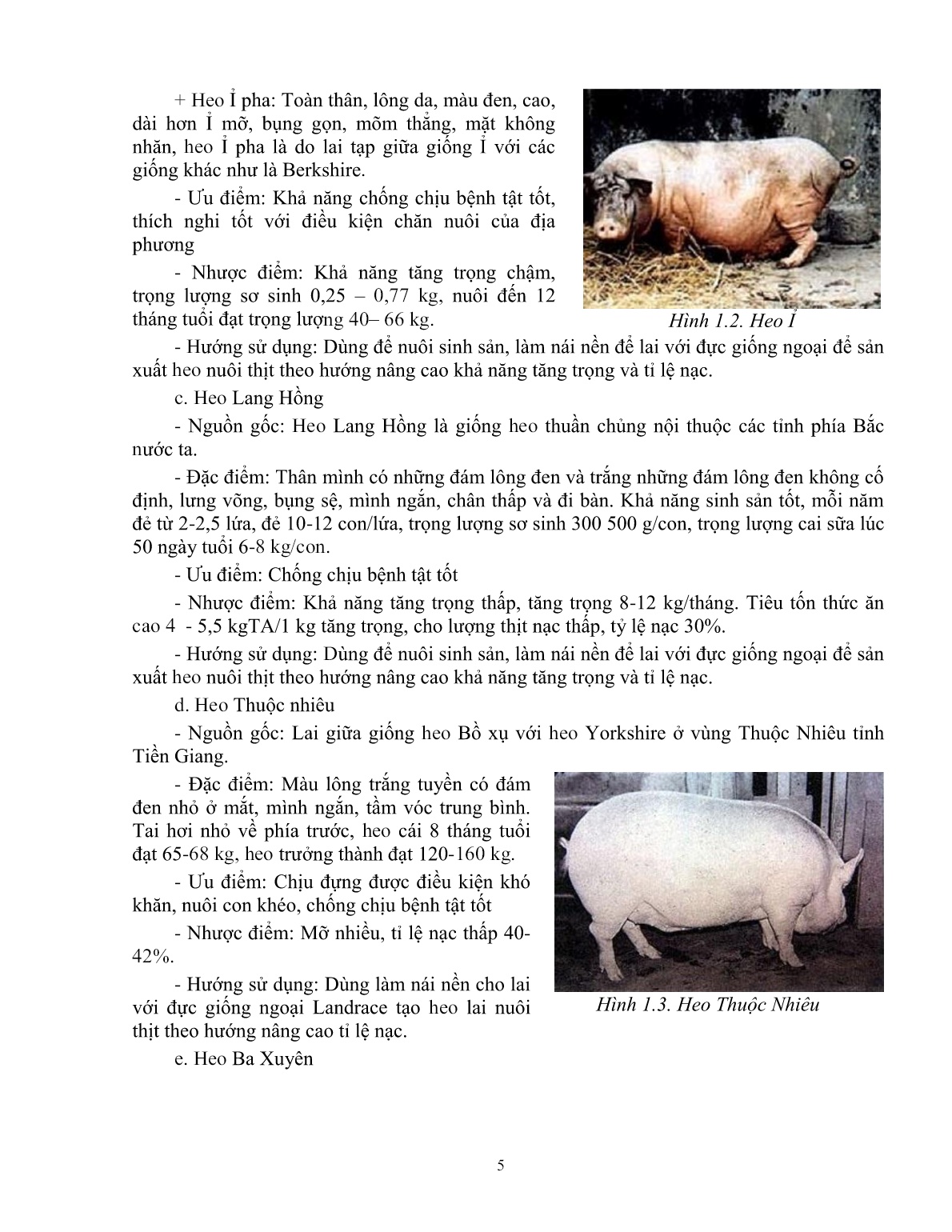 Giáo trình mô đun Chăn nuôi heo đực giống (Trình độ: Đào tạo dưới 3 tháng) trang 6
