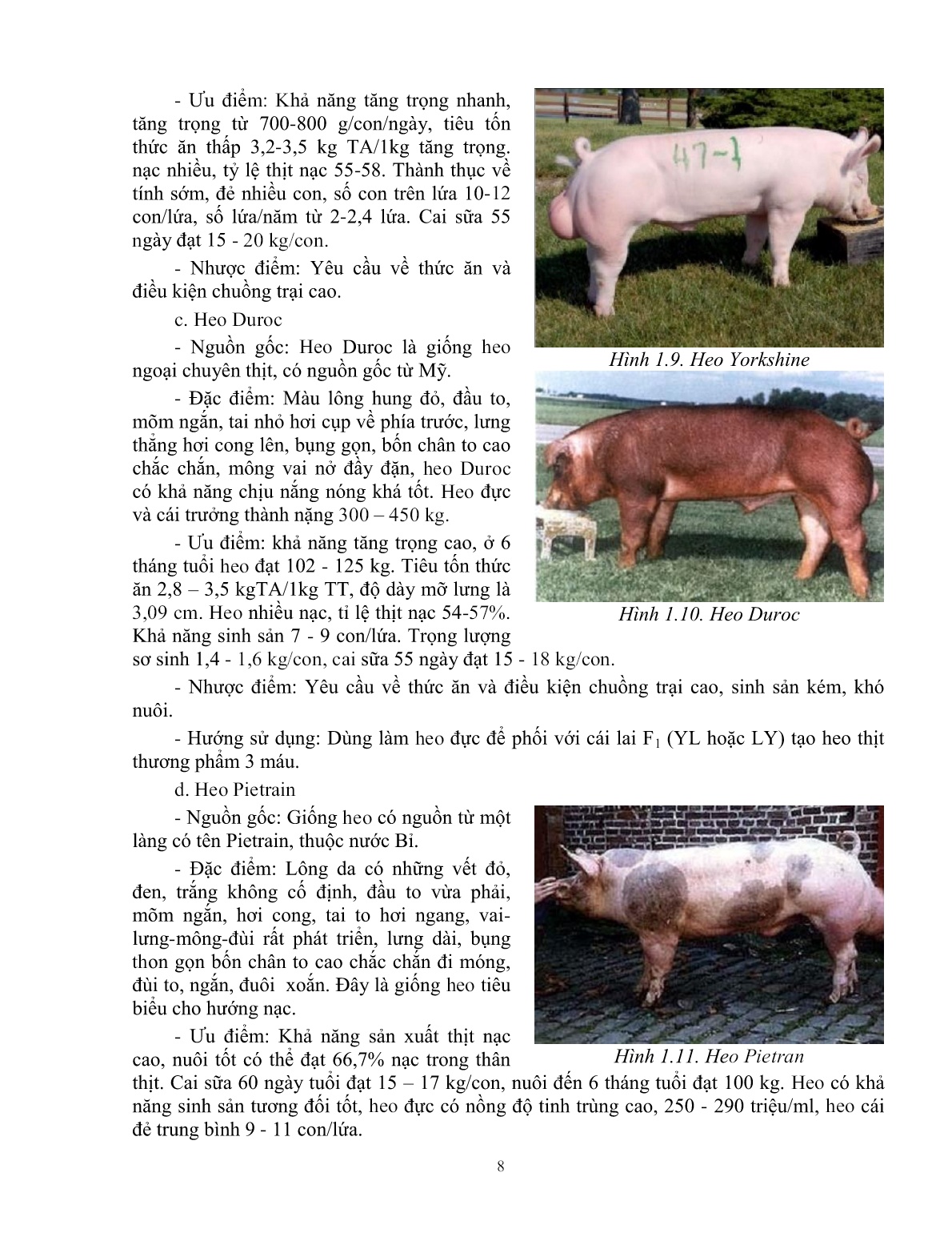 Giáo trình mô đun Chăn nuôi heo đực giống (Trình độ: Đào tạo dưới 3 tháng) trang 9