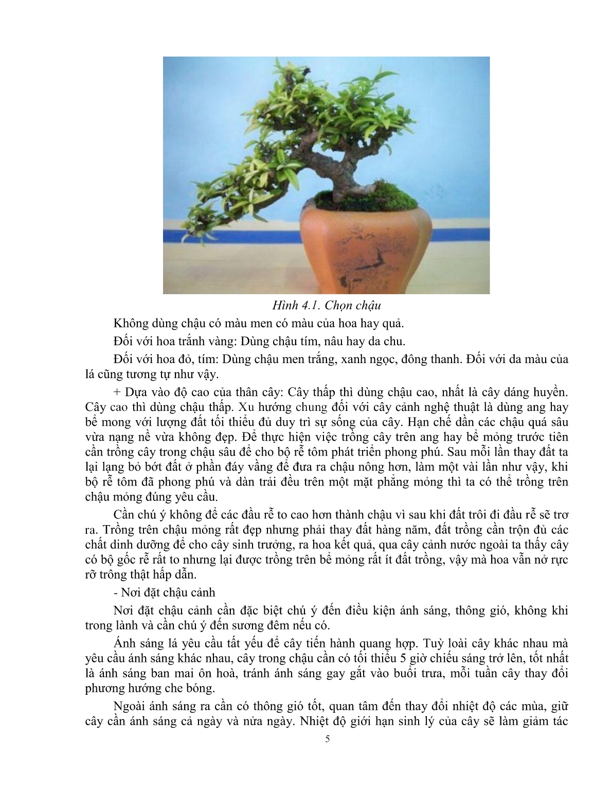 Giáo trình mô đun Chăm sóc cây cảnh (Trình độ: Đào tạo nghề dưới 3 tháng) trang 6