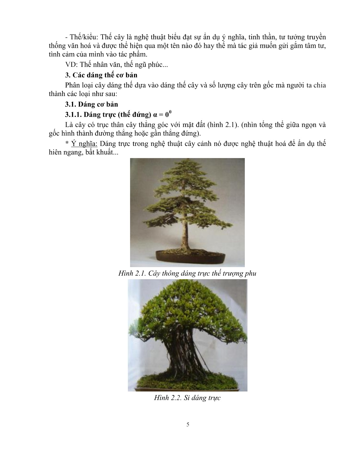 Giáo trình mô đun Tạo hình cơ bản cho cây cảnh (Trình độ: Đào tạo dưới 3 tháng) trang 6