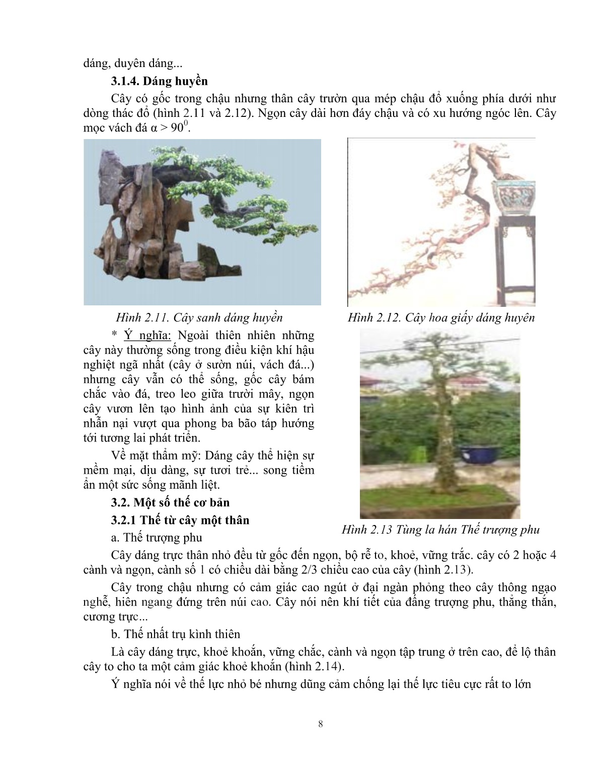 Giáo trình mô đun Tạo hình cơ bản cho cây cảnh (Trình độ: Đào tạo dưới 3 tháng) trang 9