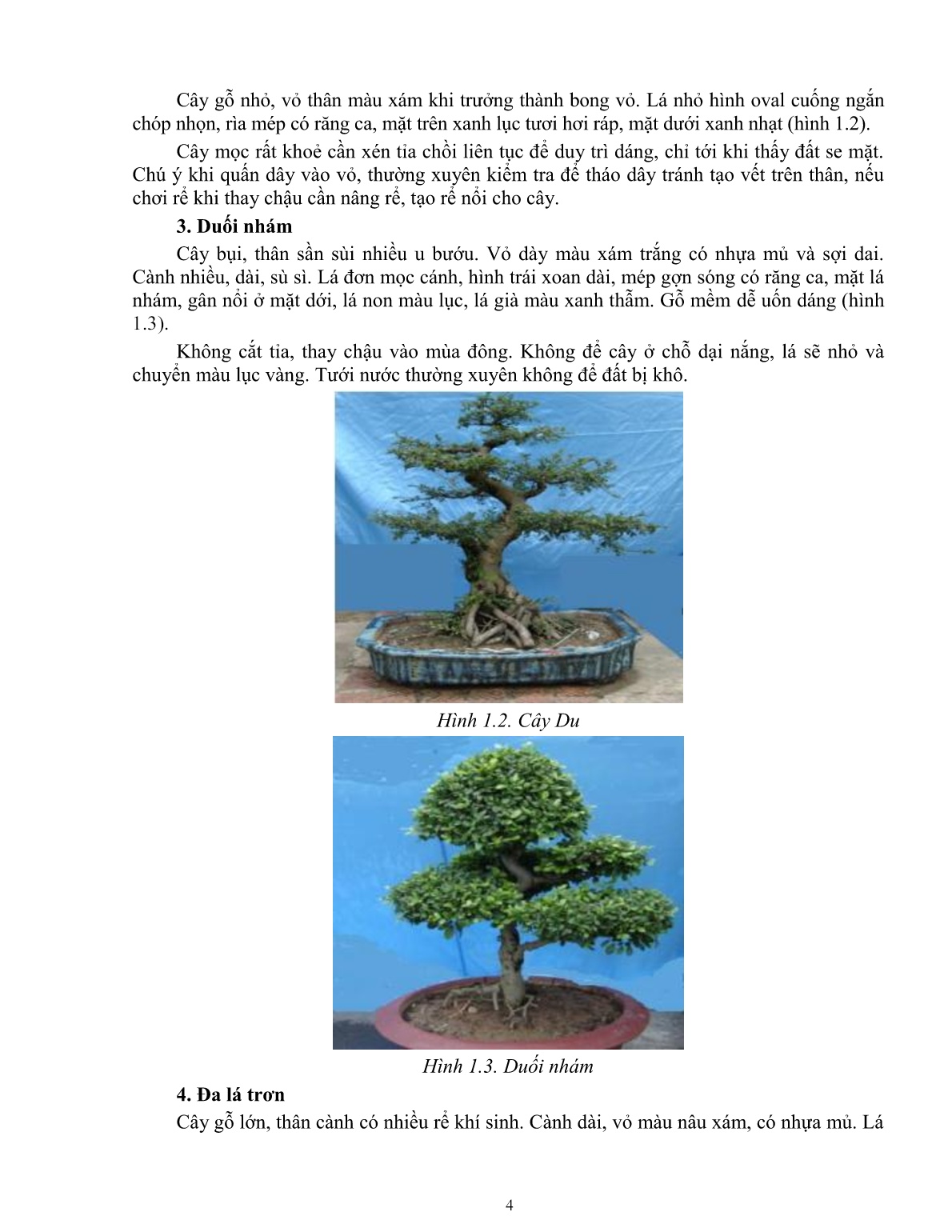 Giáo trình mô đun Chuẩn bị cây nguyên vật liệu (Trình độ: Đào tạo nghề dưới 3 tháng) trang 6