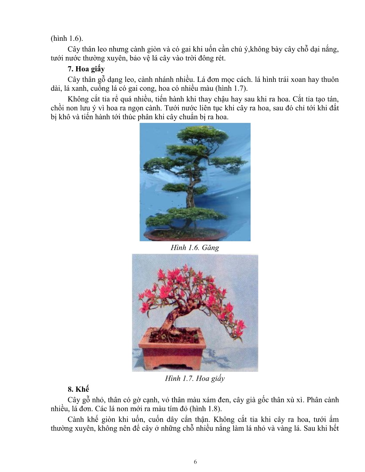 Giáo trình mô đun Chuẩn bị cây nguyên vật liệu (Trình độ: Đào tạo nghề dưới 3 tháng) trang 8