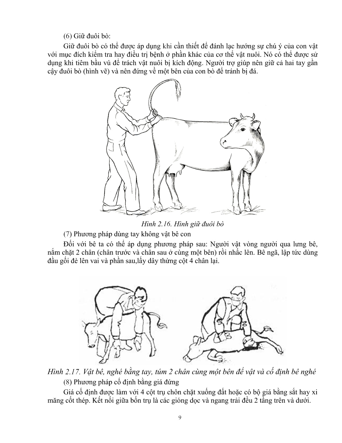 Giáo trình Kỹ thuật thực hành chăn nuôi – thú y áp dụng cho trâu, bò (Trình độ: Đào tạo dưới 3 tháng) trang 10