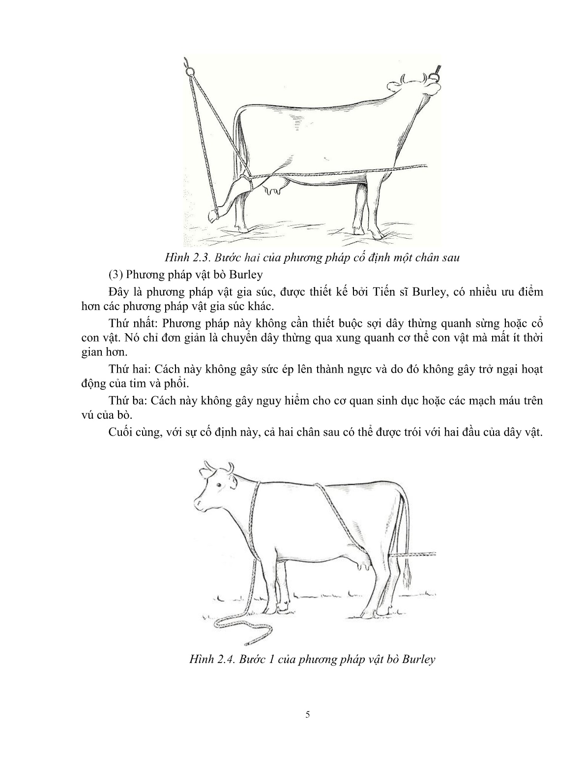 Giáo trình Kỹ thuật thực hành chăn nuôi – thú y áp dụng cho trâu, bò (Trình độ: Đào tạo dưới 3 tháng) trang 6
