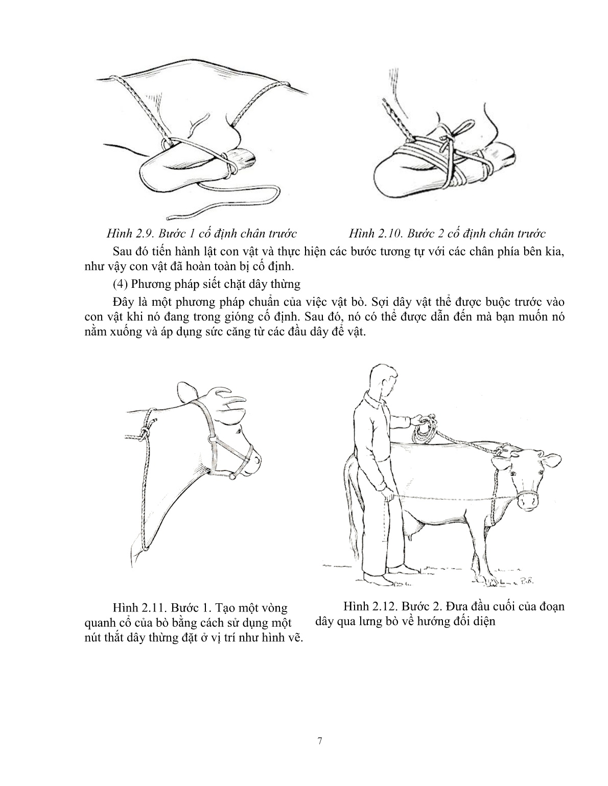 Giáo trình Kỹ thuật thực hành chăn nuôi – thú y áp dụng cho trâu, bò (Trình độ: Đào tạo dưới 3 tháng) trang 8