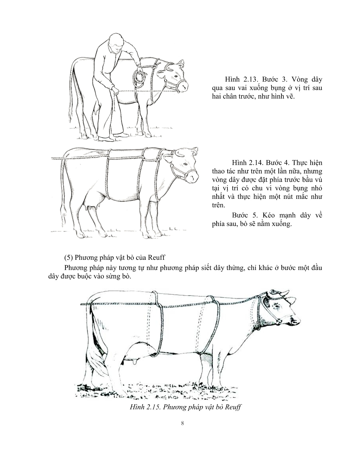 Giáo trình Kỹ thuật thực hành chăn nuôi – thú y áp dụng cho trâu, bò (Trình độ: Đào tạo dưới 3 tháng) trang 9