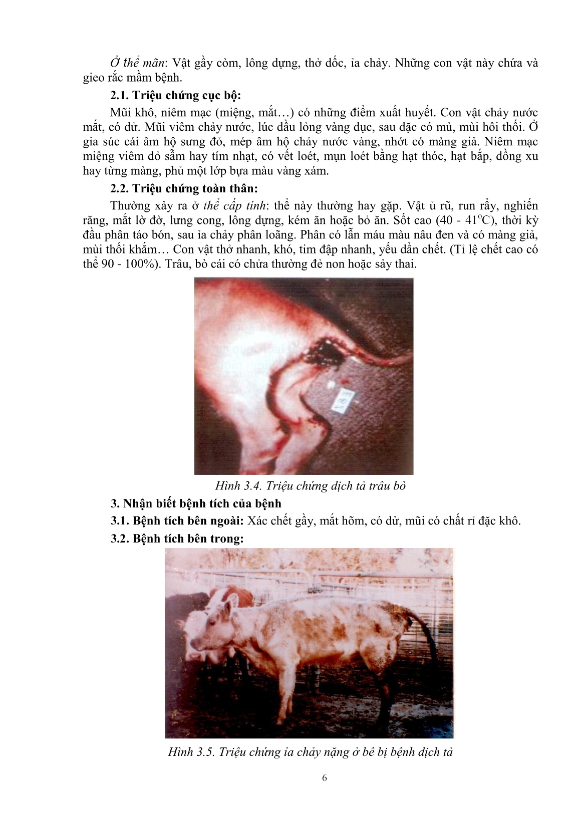 Giáo trình mô đun Phòng và trị bệnh cho trâu, bò (Trình độ: Đào tạo dưới 3 tháng) trang 8