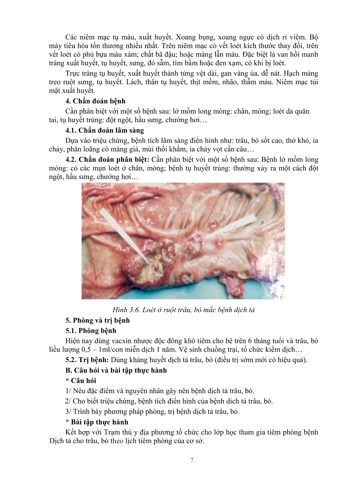 Giáo trình mô đun Phòng và trị bệnh cho trâu, bò (Trình độ: Đào tạo dưới 3 tháng) trang 9